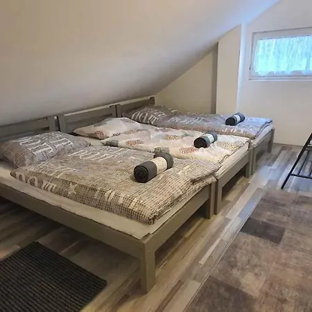 In - Balaton 44082 * 希欧福克